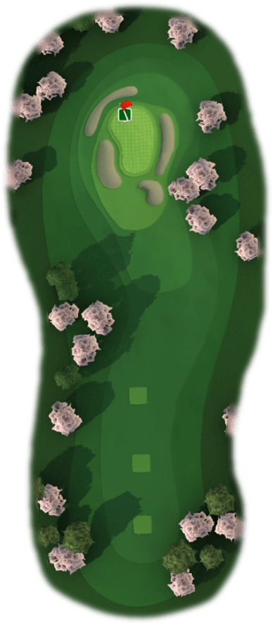 Hole 1 Map