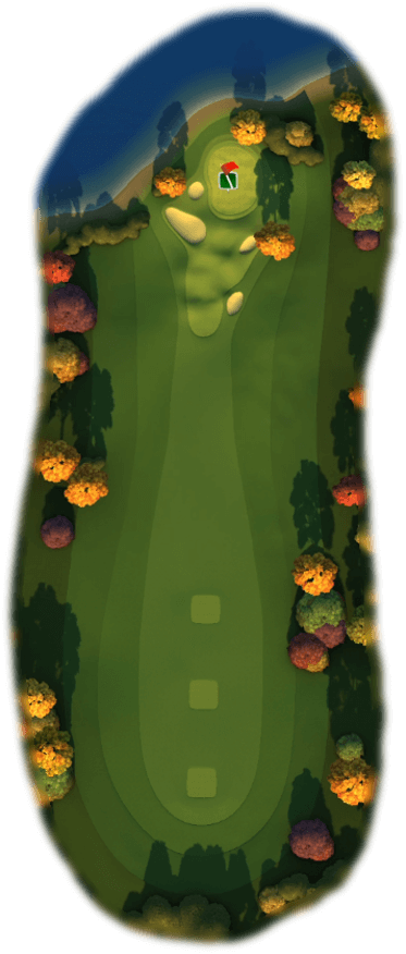 Hole 7 Map