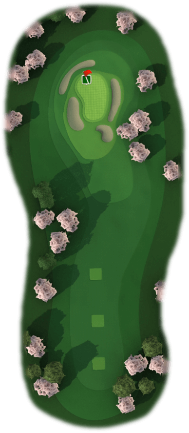 Hole 8 Map