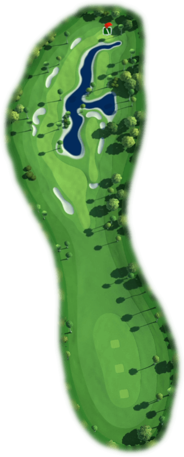 Hole 8 Map