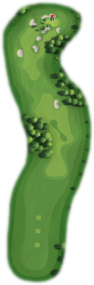 Hole 9 Map