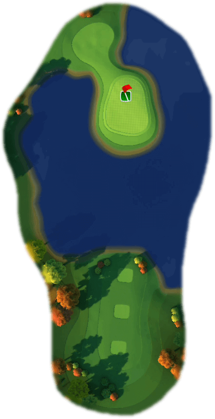 Hole 8 Map
